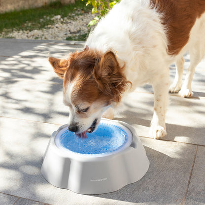 Bebedouro Refrescante para Animais de Estimação