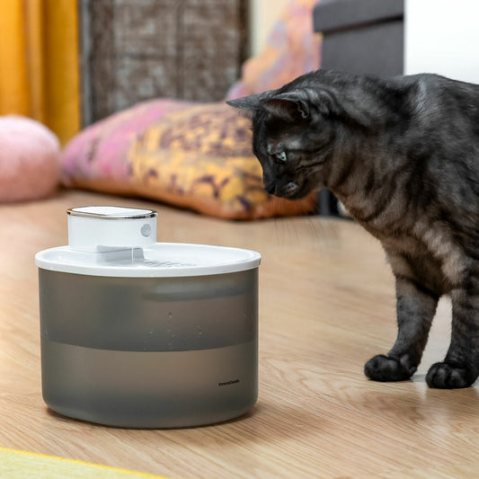 Fonte para Gatos Recarregável com Sensor