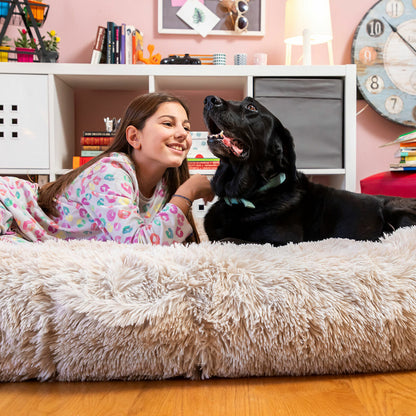 Cama de Cães para Humanos | Human Dog Bed XXL InnovaGoods Beige