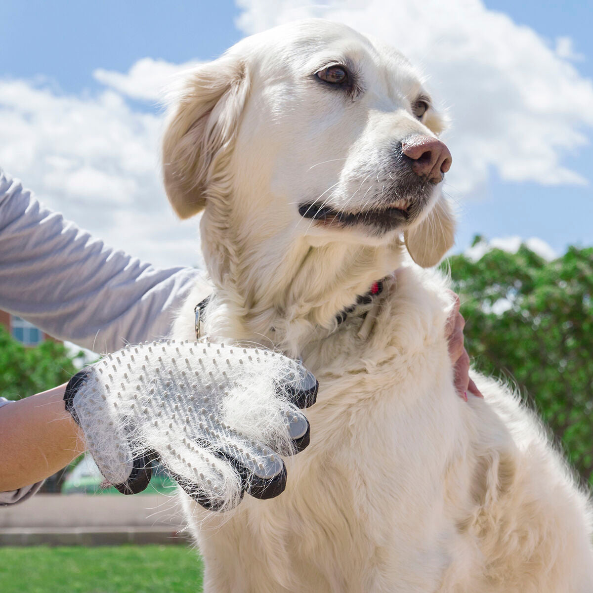 Luva para Escovar e Massajar Animais de Estimação Relpet InnovaGoods