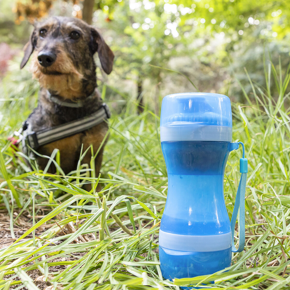 Garrafa com Depósito de Água e Comida para Animais de Estimação 2 em 1 Pettap InnovaGoods