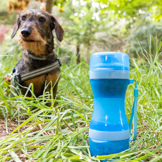 Garrafa com Depósito de Água e Comida para Animais de Estimação 2 em 1 Pettap InnovaGoods