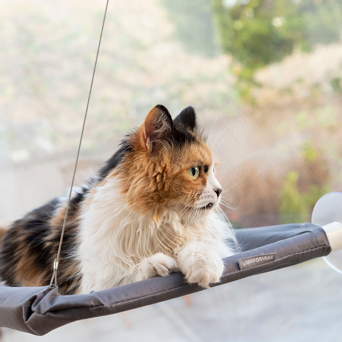 Rede Suspensa para Gatos