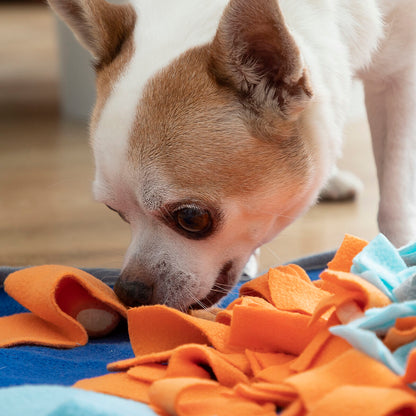 Tapete Olfativo para Animais de Estimação